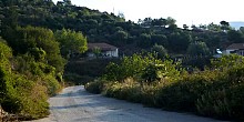 Διαδρομή: Αβαρίκο - Συκιά (Σερζιανά) Διαδρομή: Αβαρίκο - Συκιά (Σερζιανά)