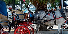 Aegina: the Queen of Saronic gulf Aegina: the Queen of Saronic gulf