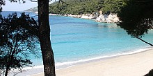 Best beaches in Skopelos island Best beaches in Skopelos island