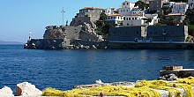 Hydra..cosmopolitan and traditional Hydra..cosmopolitan and traditional