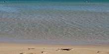 Provatas beach in Milos island Provatas beach in Milos island