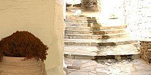 Διαμονή στην Τήνο Διαμονή στην Τήνο