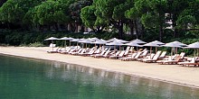 Tzaneria beach in Skiathos island Tzaneria beach in Skiathos island